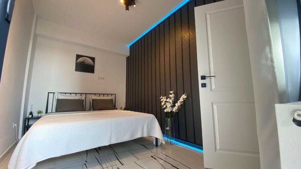 Q Luxury Apartment - Palas Center Iasi Eksteriør billede